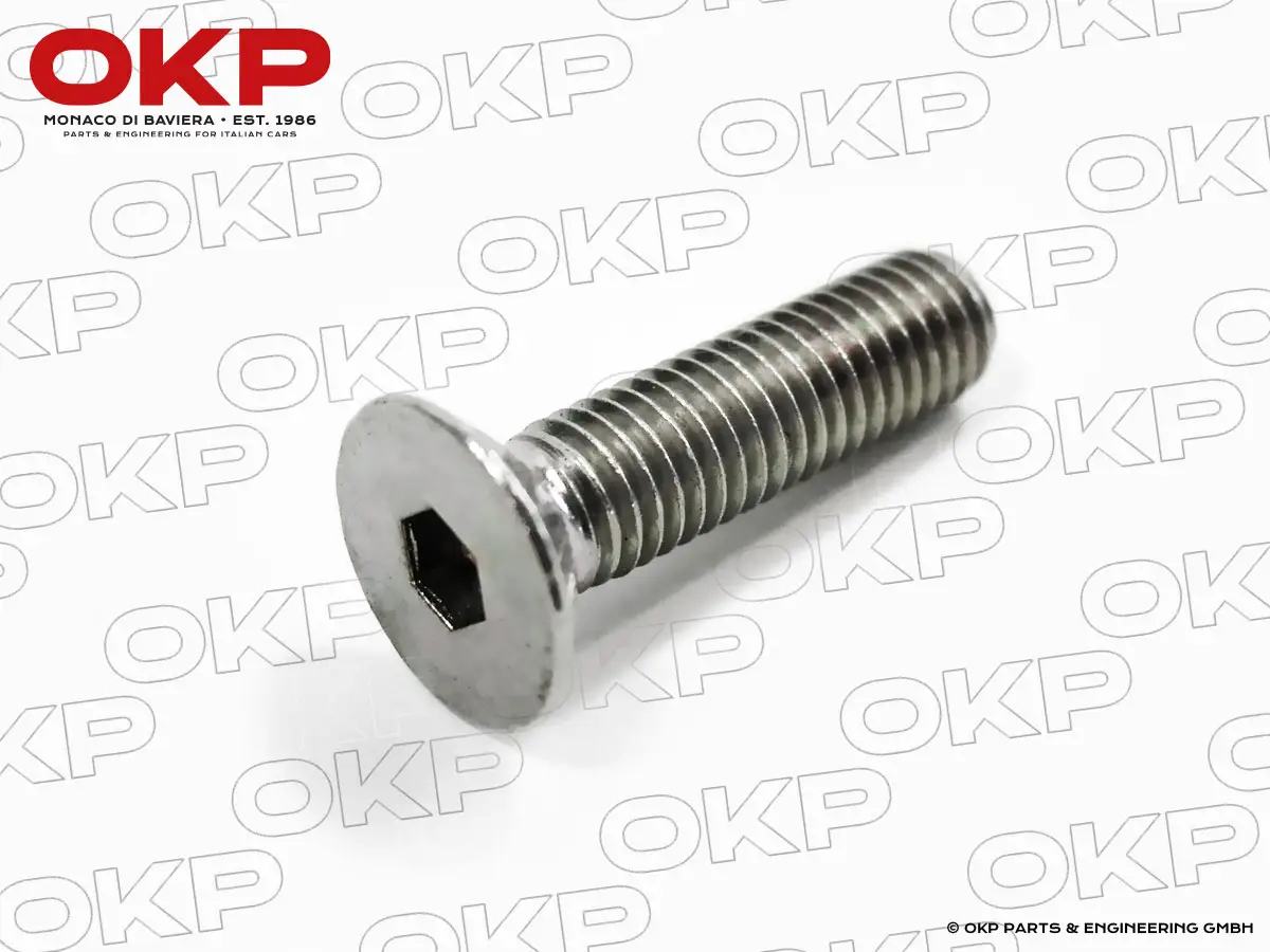 Bullone per riscontri serrature Spider / GT Bertone INOX