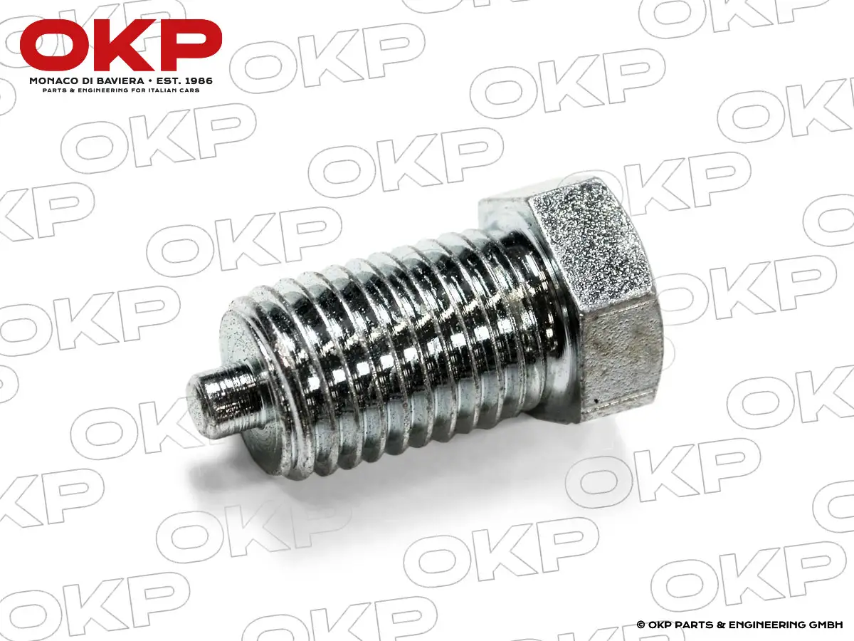 Schraube für Kettenspanner 1300 - 2000cc