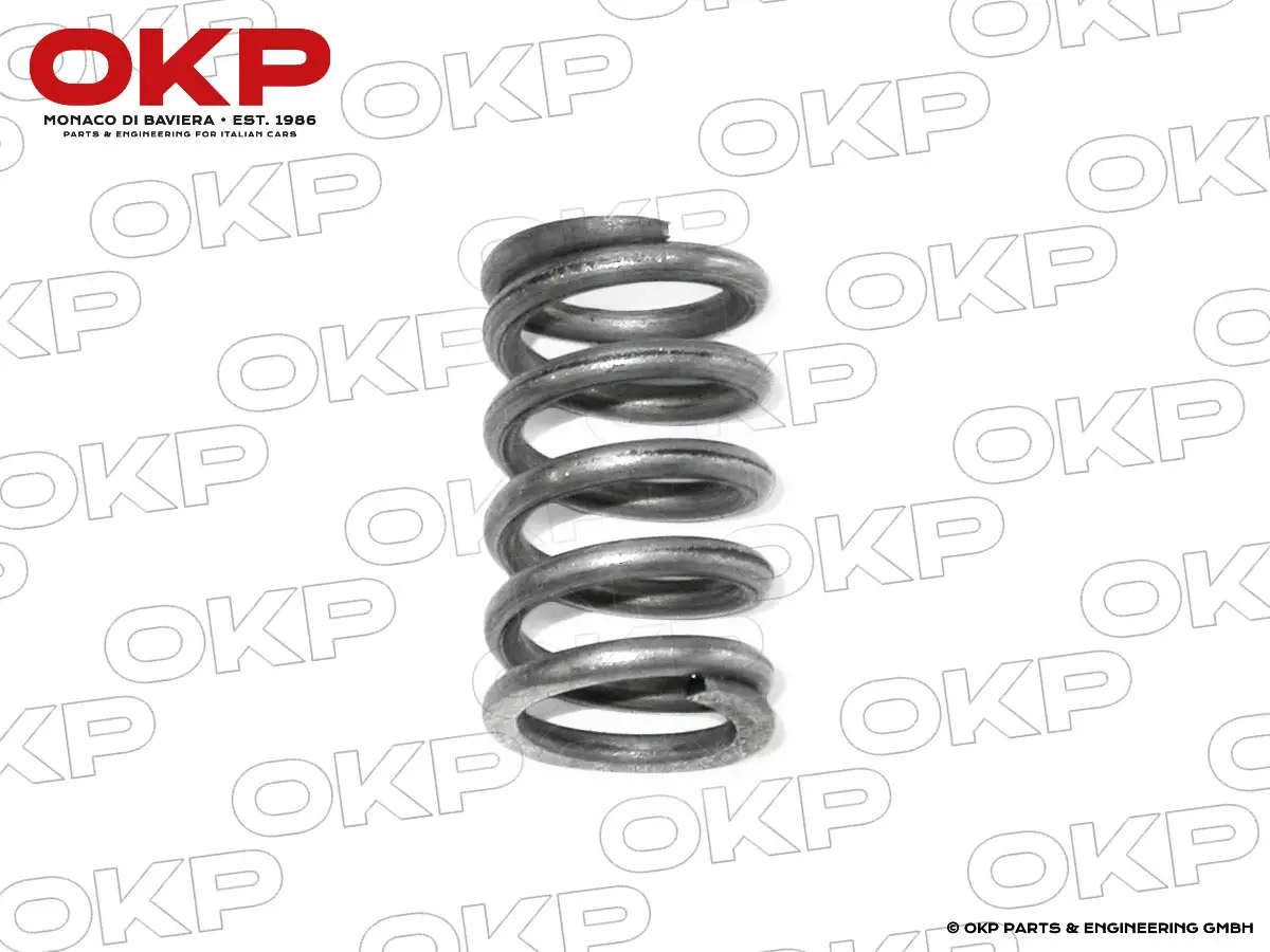 Feder für Haltestift Handbremsbeläge 105 / 115