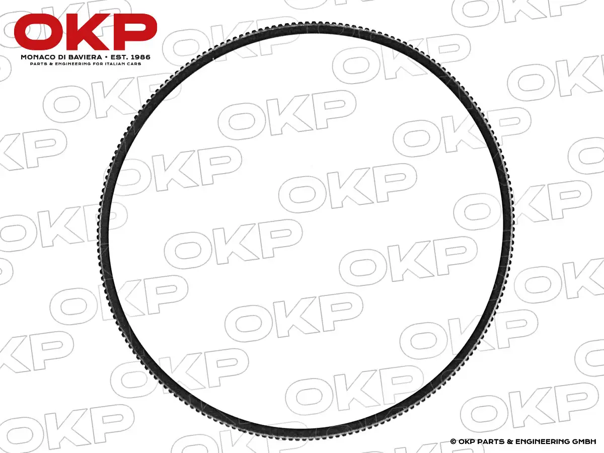 Keilriemen Wasserpumpe 308 QV / Mondial / 328