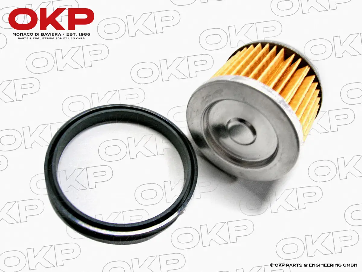 Filter und Dichtring Benzinpumpe Mitsuba elektr. universal