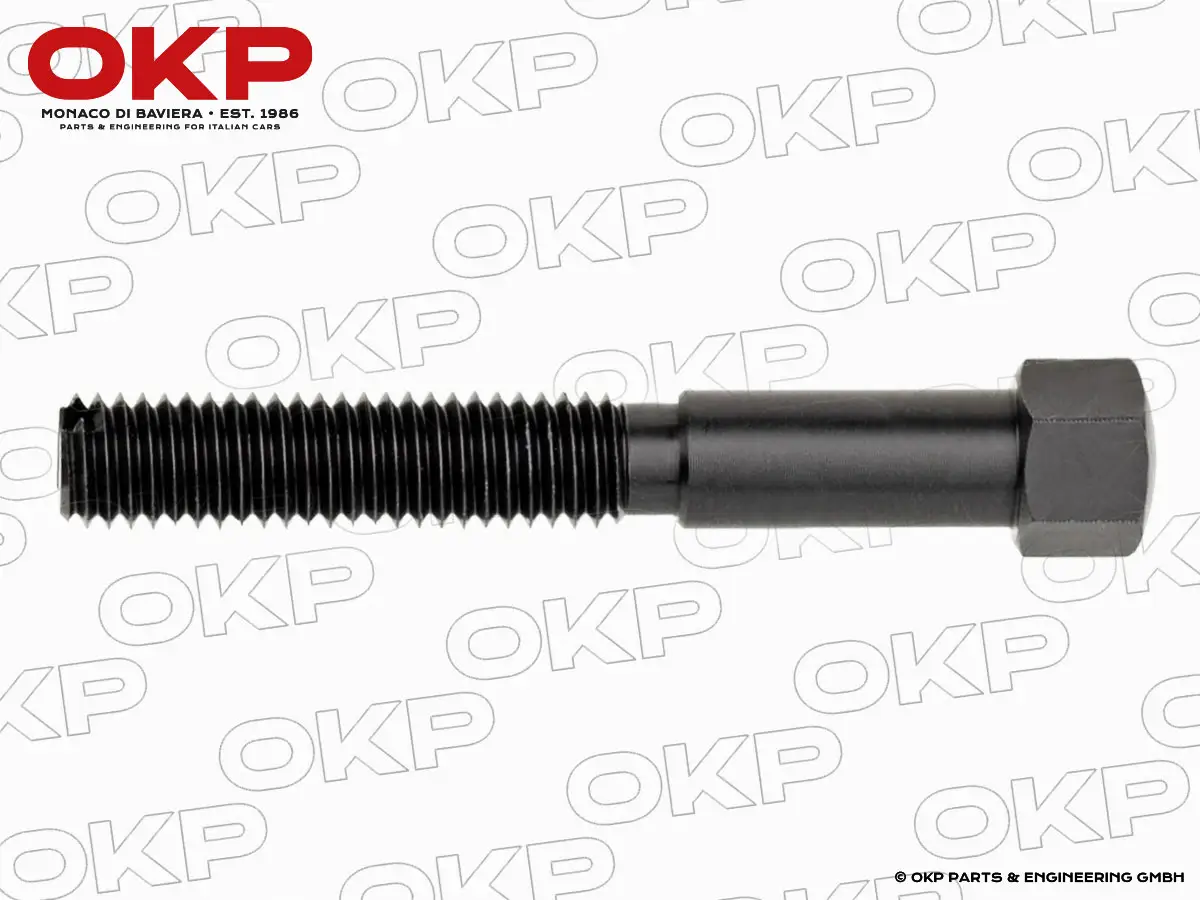 Stellschraube Innenspiegel lang 1300 - 2000 105/115