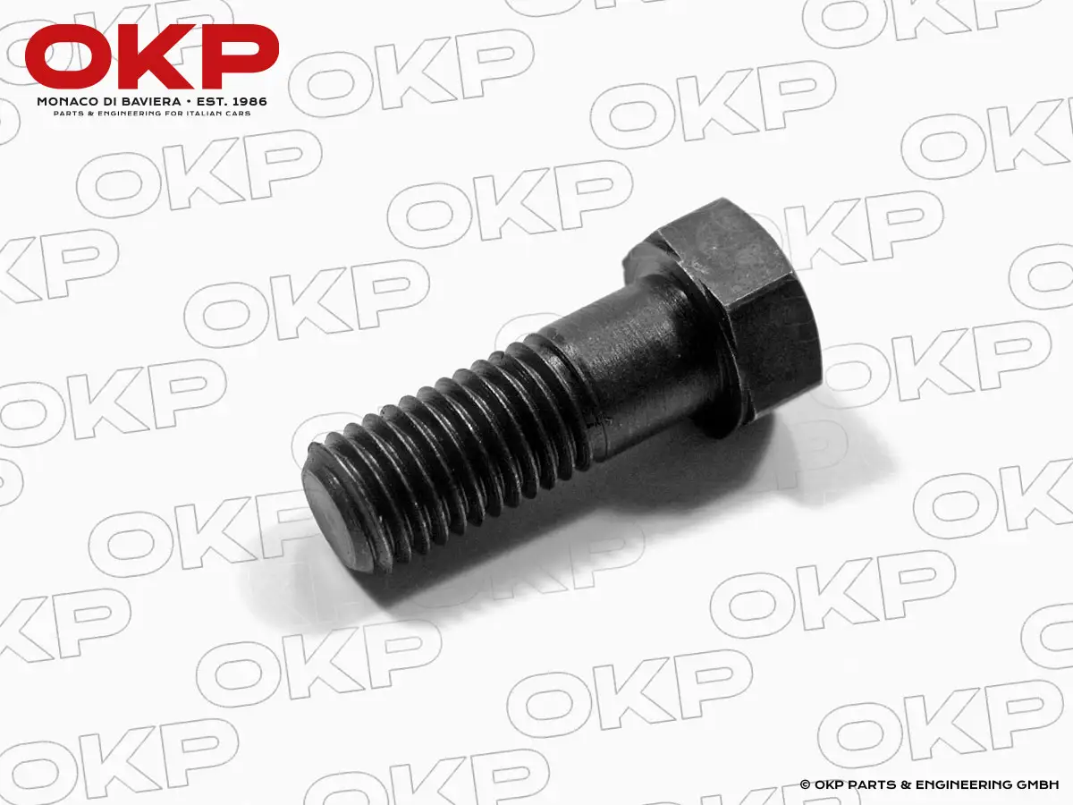 Schraube Kardanwelle 105 / 115 (9mm)