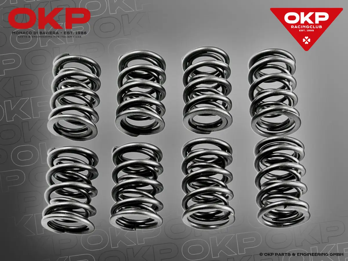 Satz (16 Stk.) Sport Ventilfedern verstärkt 105 / 101 / TS