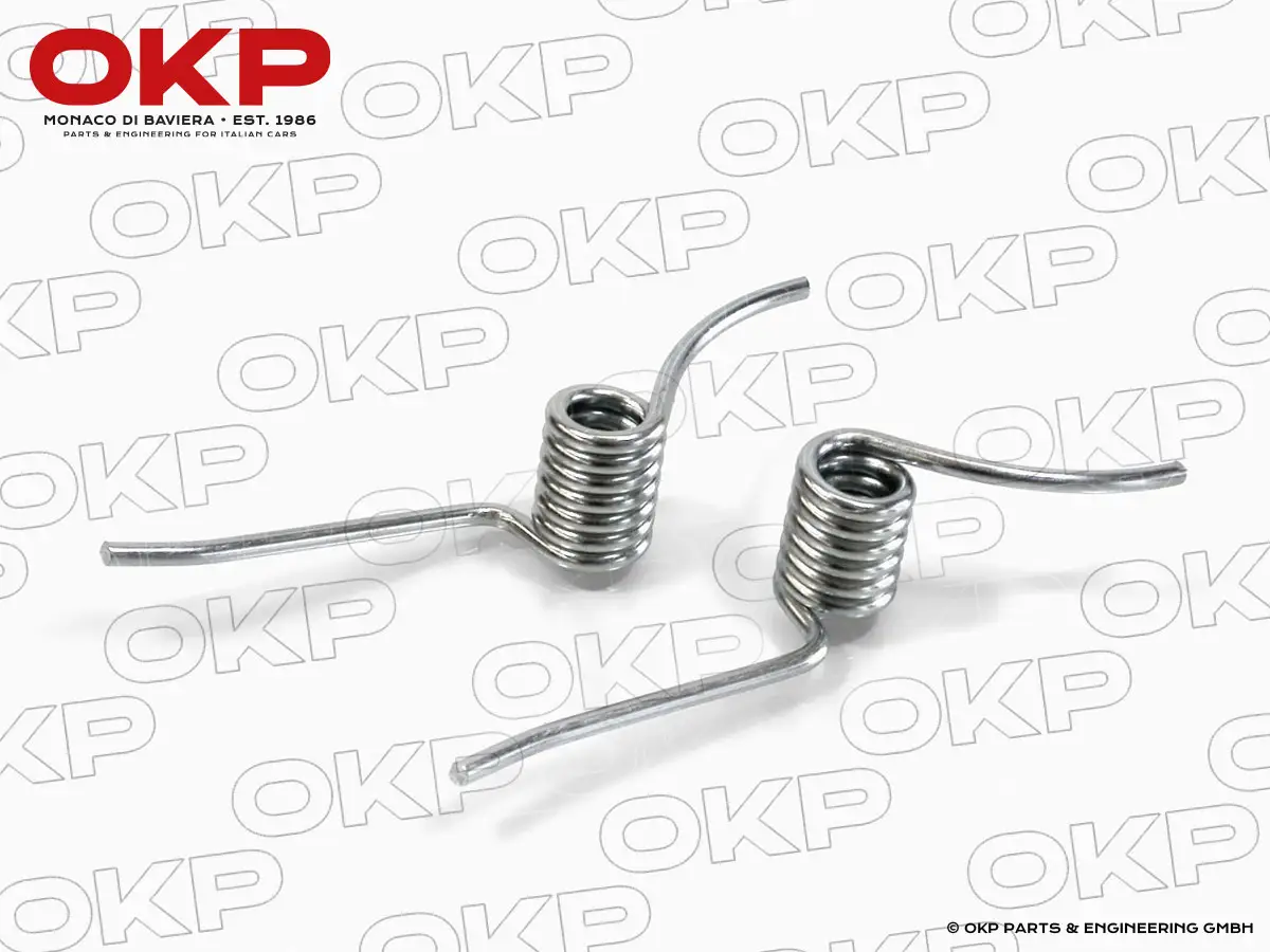 Satz (2) Federn für Türscharnier 2000/2600 Touring Spider