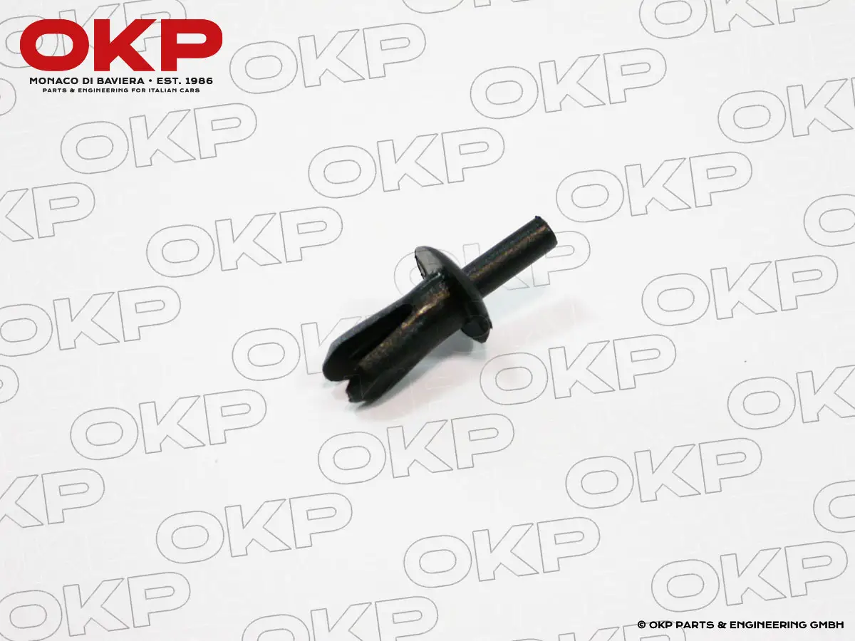 Befestigungsstift für Dichtungen auf der Tür Spider