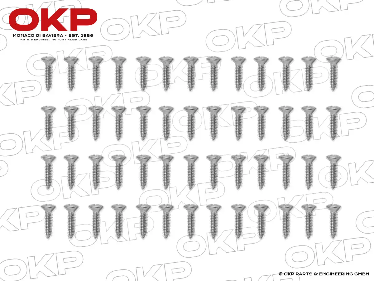 Satz (52) Schrauben Edelstahl Türleisten GT Bertone