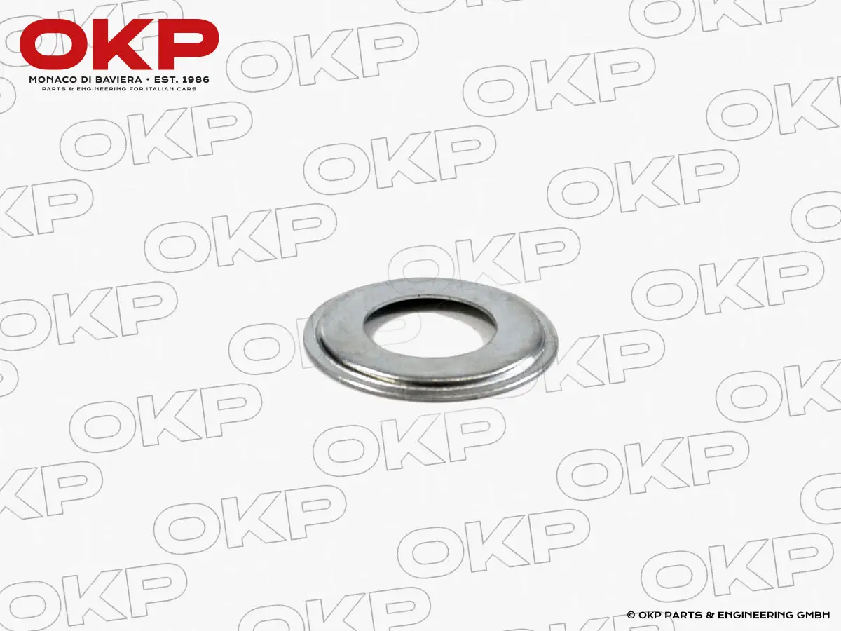 Metallplättchen auf Getriebehals 1300 - 2000 Nord