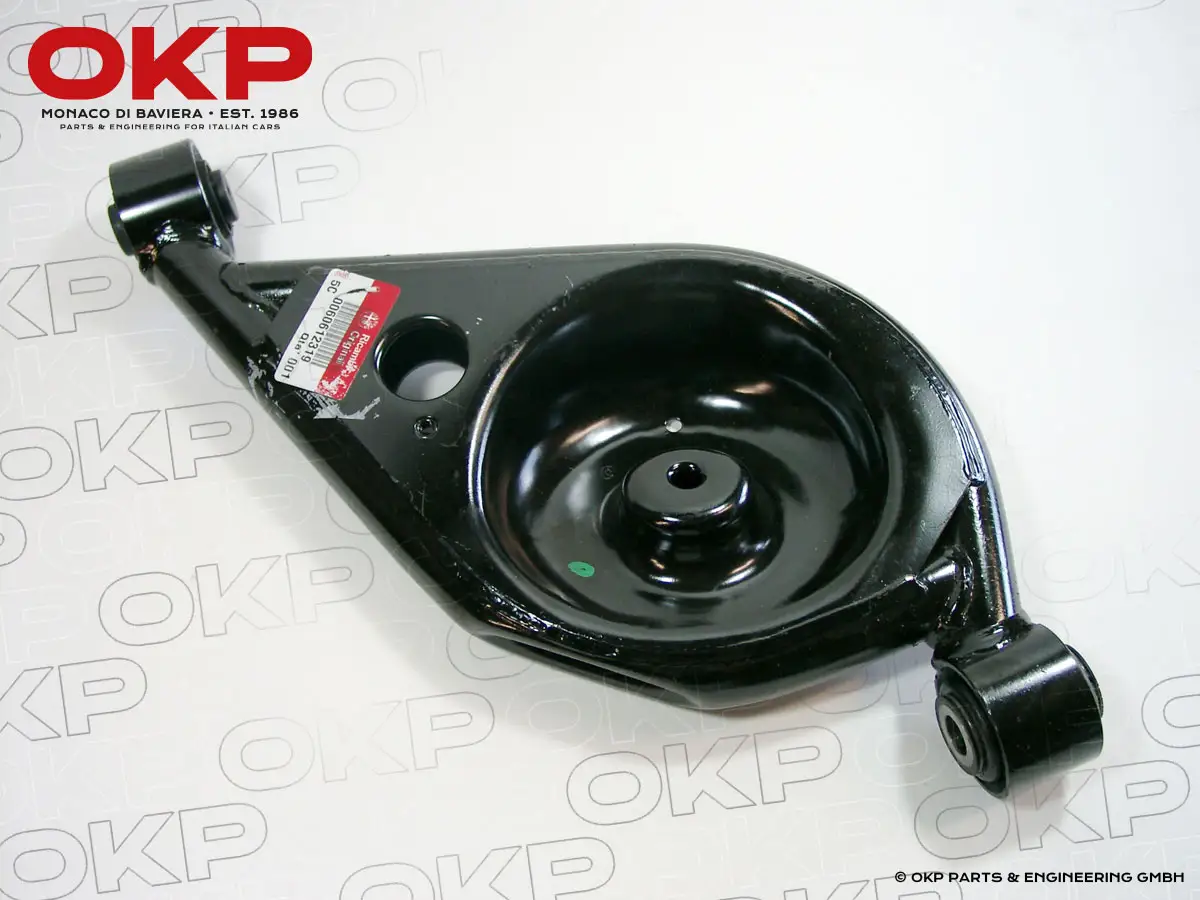 Schwingarm hinten mit Federteller Spider / GTV links