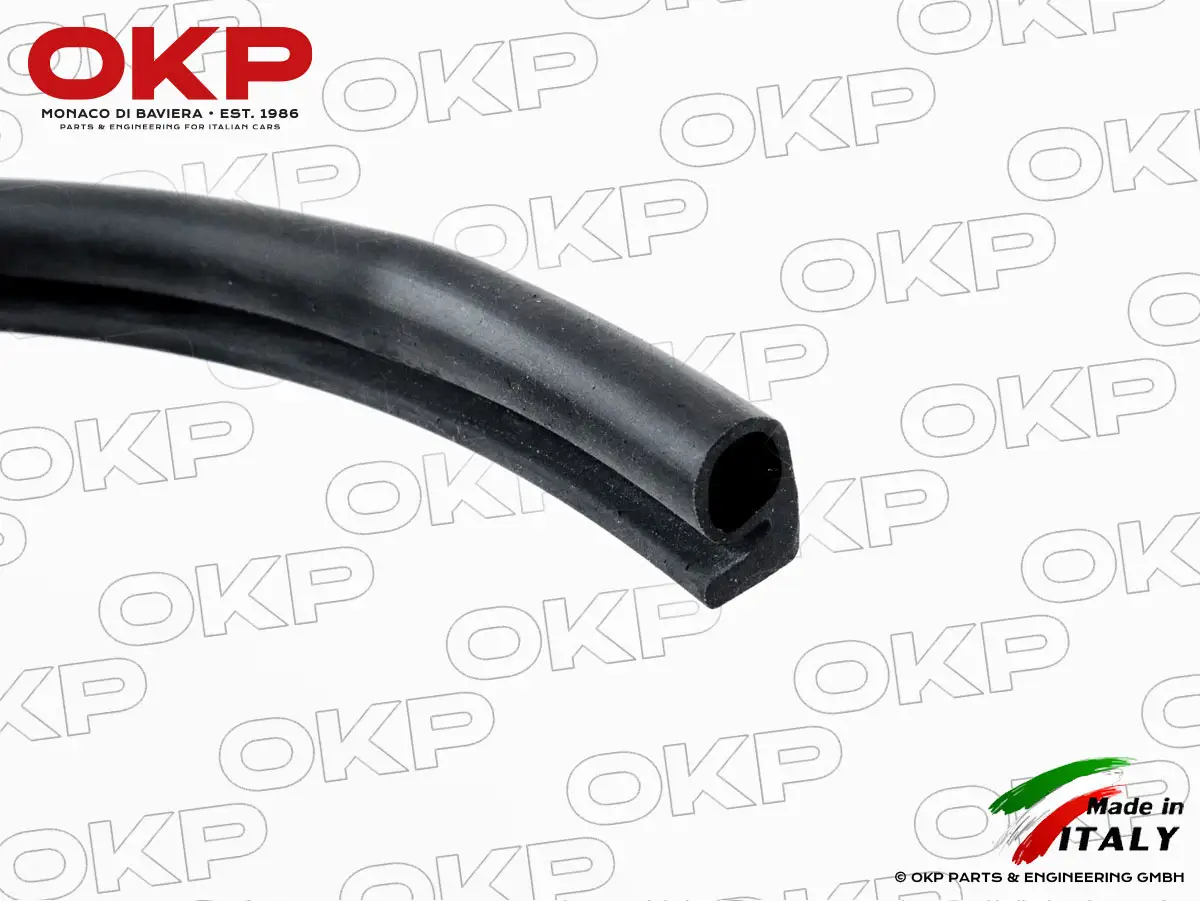 Satz (2) Türdichtungen (Karosserie) Ferrari 365 GTB/4