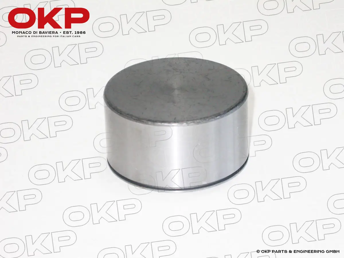 Bremskolben groß 54mm 101-Typen