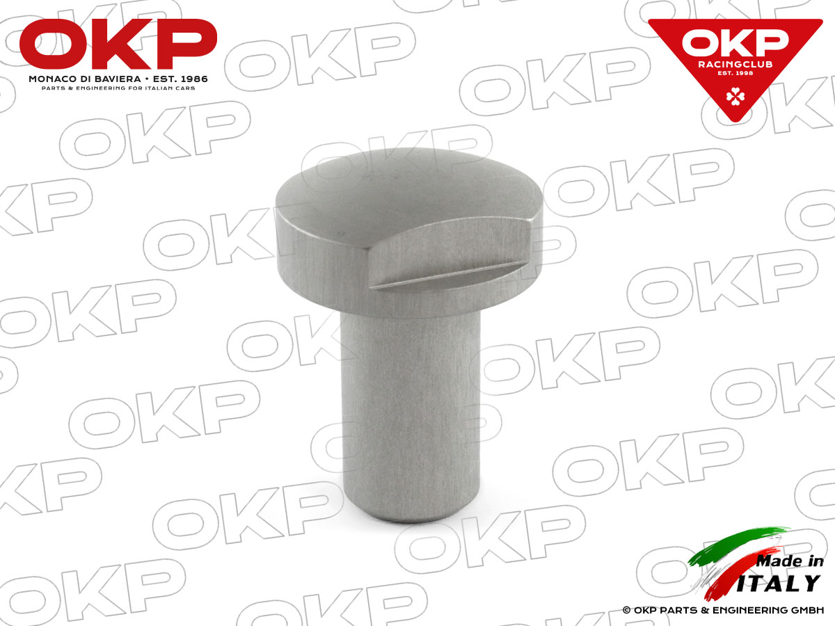 Valve cover screw Ergal silver Alfa 105/115 / 116 / 75
