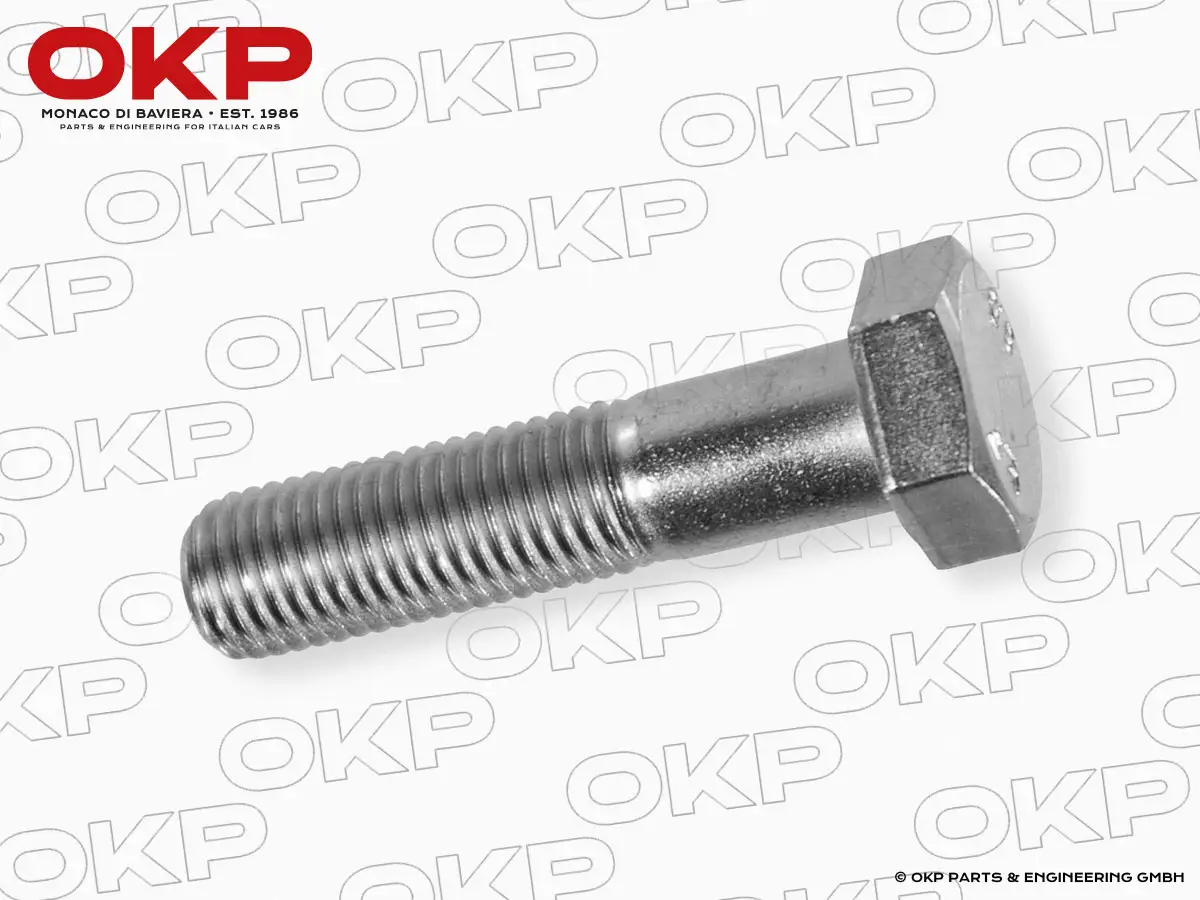 Befestigungsschraube Federteller 1300 - 2000 105 / 115